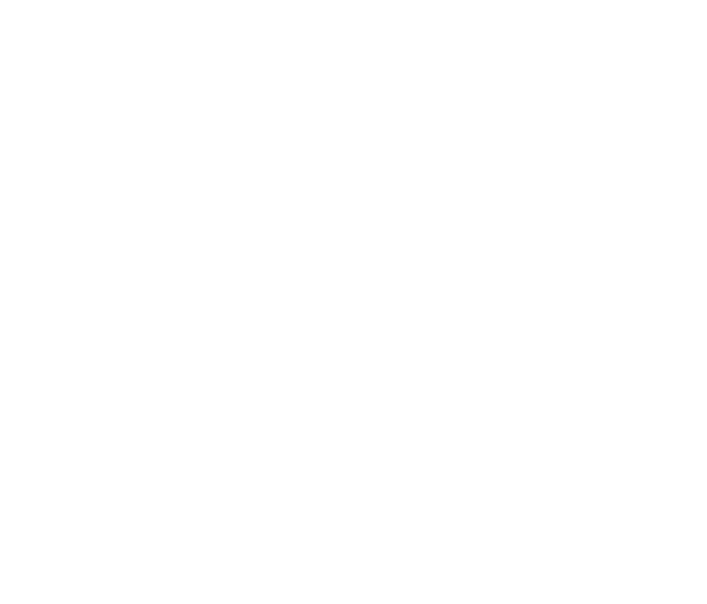 nordic Logo: nordic