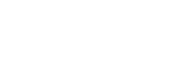 dfi Logo: dfi